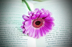 book-163774_640