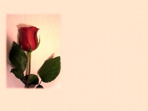 mothers-day-613935_640
