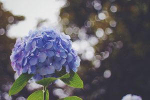 s_IMG_2478