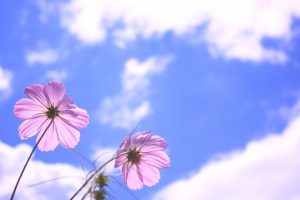s_img_6029