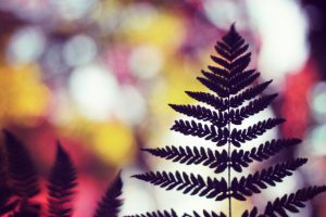 s_img_7005