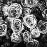 AIで効率化しているのに、なぜか前より忙しい理由を考えてみた